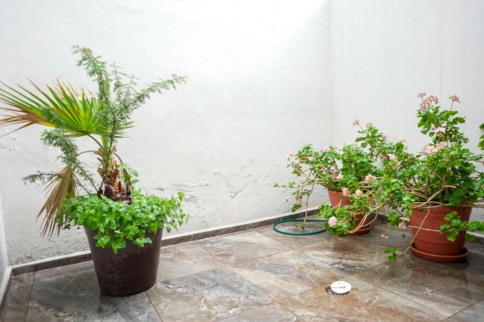 Casa Morelos Stayhouse San Luis Potosí Extérieur photo